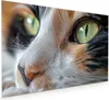 Küchenrückwand Spritzschutz Glas mit Motiv Katzenaugen 40 x Produktbild-Vorschau 1