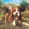 Folkmanis Basset Handpuppe 40 cm Hund Produktbild-Vorschau 7