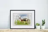 MuchoWow® MuchoWow® Gerahmtes Poster Ansicht - Kuh - Mühle Produktbild-Vorschau 6