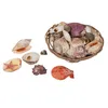 Muscheln & Seestern im Korb, ca. 15 x 5 cm, ca. 390 g Produktbild-Vorschau 5