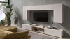 TV-Schrank CALABRINI C-11 mit 2 Türen Fernsehschrank 100 cm Produktbild-Vorschau 5