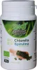 CHLORELLA PYRENOIDOSA + SPIRULINA BIO 560 TABLETEK - BIO ORGANIC FOODS Produktbild-Vorschau