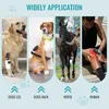 Lasertherapie für Pferde - LLLT Handgerät - Dualwellenlänge Produktbild-Vorschau 7
