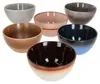 Earth 6er Set Bowl-Schale 450ml Müsli-Schüssel Produktbild-Vorschau 1