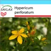 SAFLAX Darčeková sada - bylinky Johannis - Hypericum Náhľad obrázku produktu 5