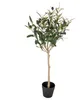 Clayre & Eef Olivier artificiel 70 cm Vert Plastique Voir les images du produit 1