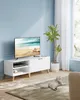 A living room with a TV on a stand and a cat on the rug. Náhled obrázku produktu