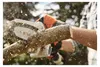 Tagliasiepi a batteria Stihl GTA 26 12 V 10 cm Anteprima dell’immagine prodotto 8