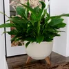 Pot de fleur rond sur pieds 47 cm Anthracite Voir les images du produit 5