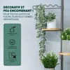 Support à fleurs télescopique Bremermann avec 4 étagères en Voir les images du produit 3