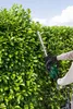 A person is trimming a hedge with an electric hedge trimmer. Produktbild-Vorschau