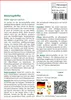 SAFLAX - Heilpflanzen - Mönchspfeffer - 30 Samen - Vitex Produktbild-Vorschau 3