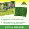 Semillas universales para césped Neudorff, para jardín, 2 Vista previa de la imagen del producto 4