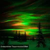 LED Sternenhimmel Projektor Galaxy Aurora Nachtlicht Produktbild-Vorschau 8