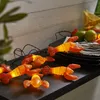 Crayfish Party Produktbild-Vorschau 1