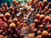 CALVENDO Puzzle Pygmäenseepferdchen vor Gorgonienkorallen | Produktbild-Vorschau 3