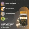 Gemini said Complément Articulations Chien et Chat, 120 Voir les images du produit 4