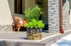 A planter with plants on a patio next to a chair and a house. Náhled obrázku produktu