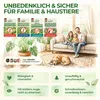 Thripse-Frei Bundle – Raubmilben, Orius & Nematoden Produktbild-Vorschau 5
