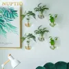 Set van 6 glazen bloempotten om aan de muur te hangen Productafbeelding-voorbeeld 4