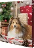 Trixie Adventskalender Weihnachtskalender für Hunde Produktbild-Vorschau 4