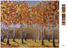 Zuty - Malen nach Zahlen - HERBSTBIRKEN, 40x50 cm, ohne Produktbild-Vorschau 3
