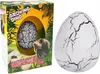 HIPO Dinosaurier im Ei 12 Stück/Disp H5000 Produktbild-Vorschau 4