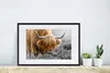 MuchoWow® MuchoWow® Gerahmtes Poster Schottisches Produktbild-Vorschau 4