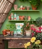 Dehner Hibiskusdünger, hochwertiger Flüssigdünger, Dünger Produktbild-Vorschau 4