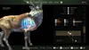 THQ Nordic Way of the Hunter, PlayStation 5, Produktbild-Vorschau 6