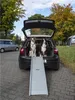 Hunderampe Emma belastbar bis 40kg Tiereinstiegshilfe für Produktbild-Vorschau 2