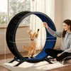 COMHOMA, běžecký pás pro kočky, extra velký (100 cm), velmi Náhled obrázku produktu 8