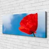 Tulup Leinwand-Bilder 125x50 Wandbild Canvas Kunstdruck Produktbild-Vorschau 2