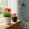 Blumentopf Rund, Gerillter Blumentopf, Blumenabdeckung Ø 30 Produktbild-Vorschau 6
