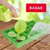KADAX Zimmergewächshäus "Vesima", Zimmergewächshäuser, Grün Produktbild-Vorschau 10