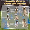 PawHut Agility Set Hunde 6-teiliges Agility-Ausrüstung für Produktbild-Vorschau 8