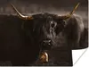 MuchoWow® Poster Schottischer Highlander - Gold - Kuhglocke Produktbild-Vorschau 1