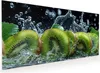 Küchenrückwand Spritzschutz Glas mit Motiv Kiwi und Wasser Produktbild-Vorschau 1