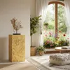 A decorative pedestal with a sculpture on it, placed in a bright, airy living room with a large window overlooking a garden. Voir les images du produit