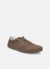 JOSEF SEIBEL Jimmy 02 | Sneaker für Herren | Braun Produktbild-Vorschau 7