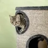 PawHut, tiragraffi per gatti, con 3 rifugi, struttura Anteprima dell’immagine prodotto 9