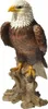Dekofigur Gartenfigur Weißkopfseeadler Produktbild-Vorschau 3