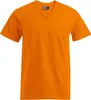 Koszulka męska Promodoro 3025 | Premium V-Neck - Kolor: Podgląd zdjęcia produktu 1