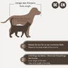 An illustration showing how to measure a pet's body length for a dog bed, with a dog and a cat silhouette. Náhled obrázku produktu