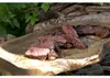 Big Green Egg Medium Keramikgrill Produktbild-Vorschau 10