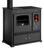 A black wood-burning stove with a glass door and a stovetop. Anteprima dell’immagine prodotto