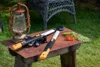 Fiskars Nožnice Na Silné Vetvy Smartfit Teleskopické Veľké Náhľad obrázku produktu 24