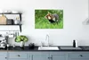 MuchoWow® Poster Hamster läuft vorsichtig durch ein Produktbild-Vorschau 3