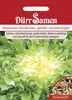 Sommerendivien Gelber Vollherziger | Sommerendiviensamen Produktbild-Vorschau 3