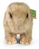Peluche Capibara 30 Cm Ecologico Anteprima dell’immagine prodotto 4